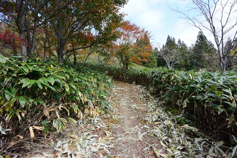 f:id:ikazuti-d:20151022113255j:image f:id:ikazuti-d:20151022113255j:image