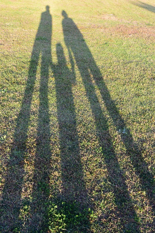 f:id:ikazuti-d:20151025164908j:image