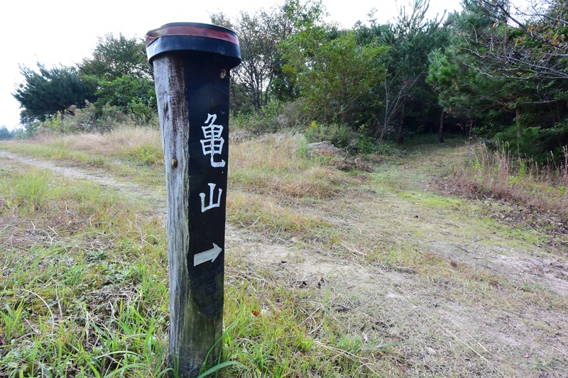 f:id:ikazuti-d:20151030131134j:image