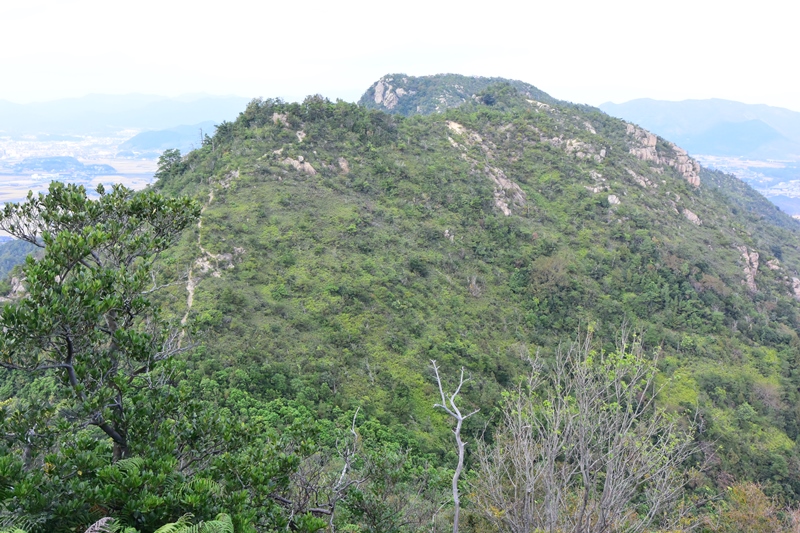 f:id:ikazuti-d:20151030134318j:image