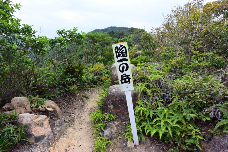 f:id:ikazuti-d:20151030144923j:image