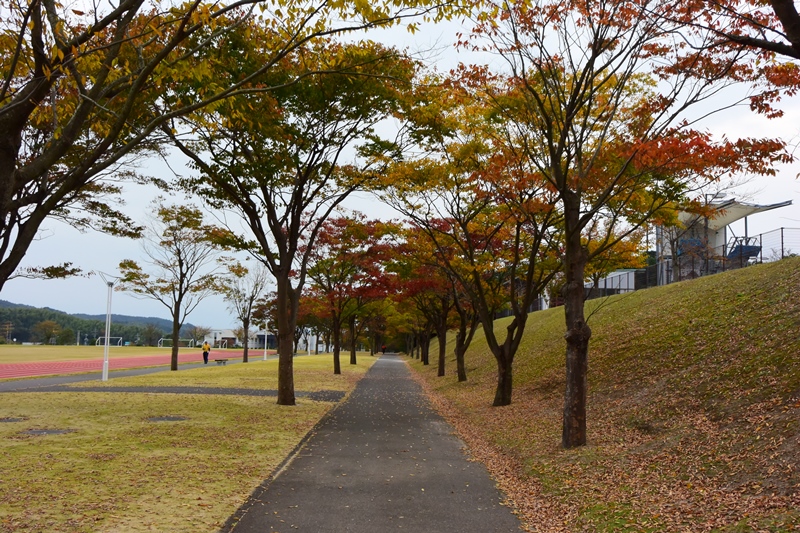 f:id:ikazuti-d:20151030154012j:image