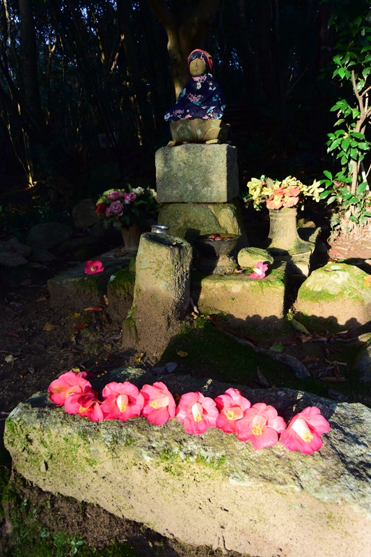 f:id:ikazuti-d:20151123074740j:image