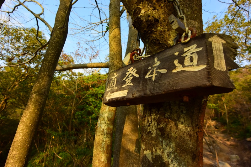 f:id:ikazuti-d:20151123080330j:image
