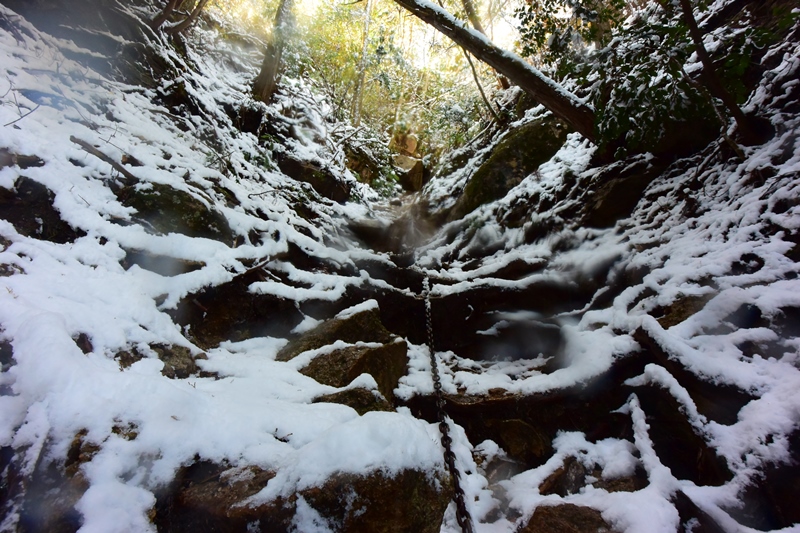 f:id:ikazuti-d:20151127110157j:image