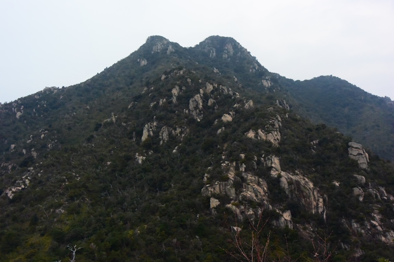f:id:ikazuti-d:20160111072513j:image