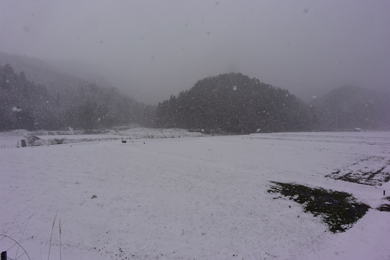 f:id:ikazuti-d:20160215124030j:image f:id:ikazuti-d:20160215124030j:image