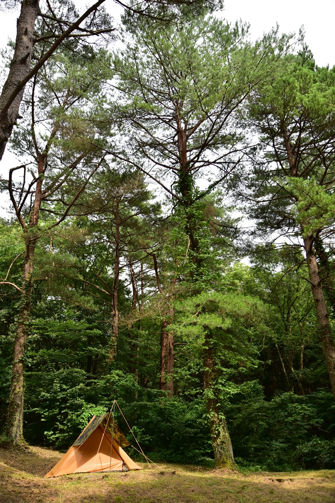 f:id:ikazuti-d:20160730150521j:image f:id:ikazuti-d:20160730150521j:image