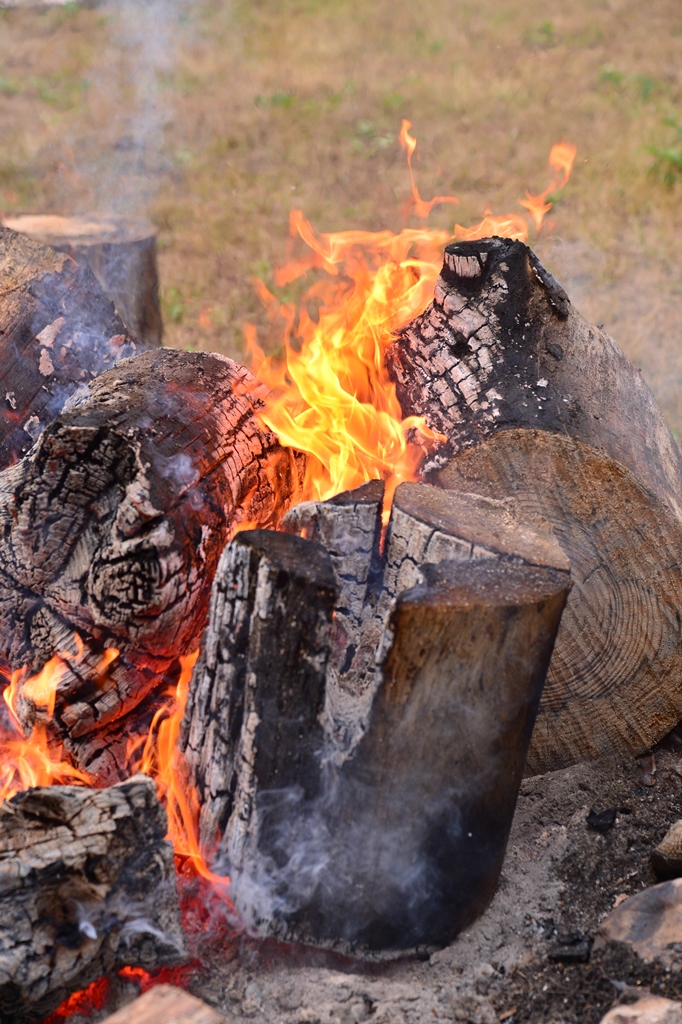 f:id:ikazuti-d:20160731153626j:image f:id:ikazuti-d:20160731153626j:image