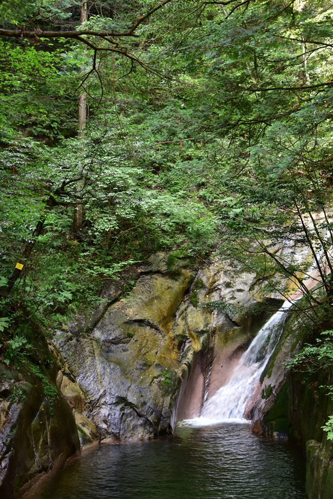 f:id:ikazuti-d:20160805095728j:image f:id:ikazuti-d:20160805095728j:image