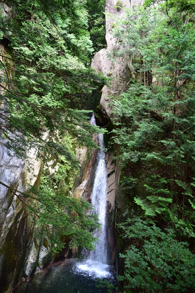 f:id:ikazuti-d:20160805100344j:image f:id:ikazuti-d:20160805100344j:image