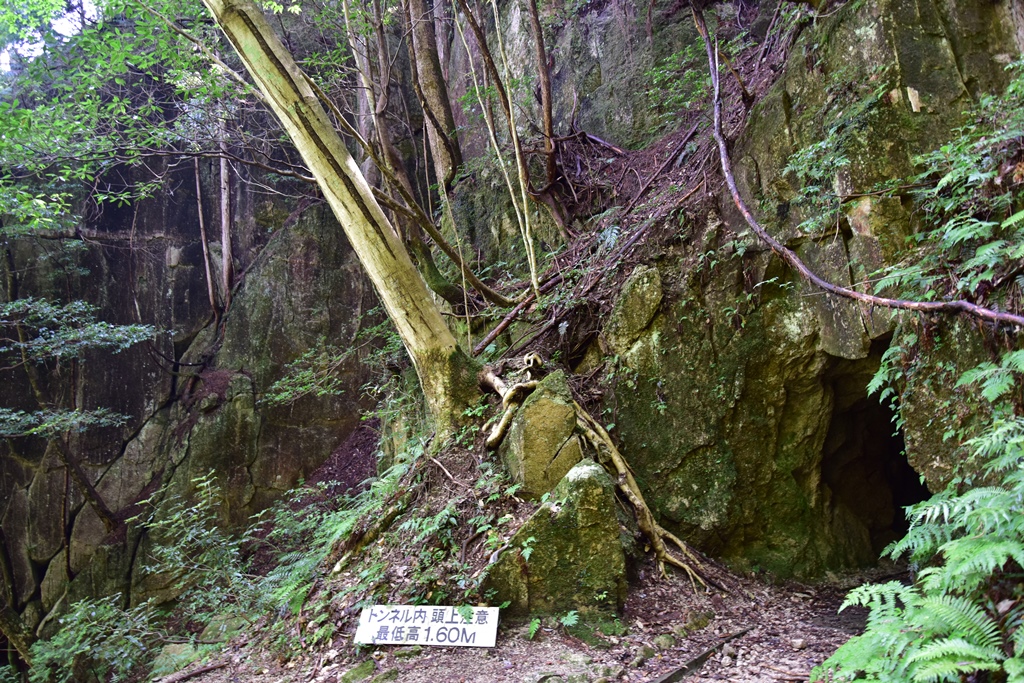 f:id:ikazuti-d:20160805100829j:image f:id:ikazuti-d:20160805100829j:image