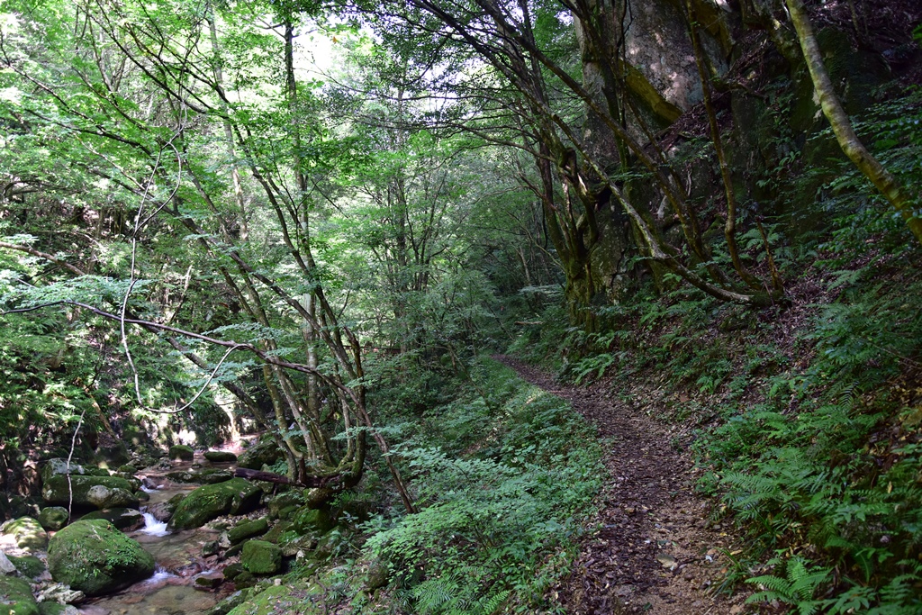 f:id:ikazuti-d:20160805101154j:image f:id:ikazuti-d:20160805101154j:image