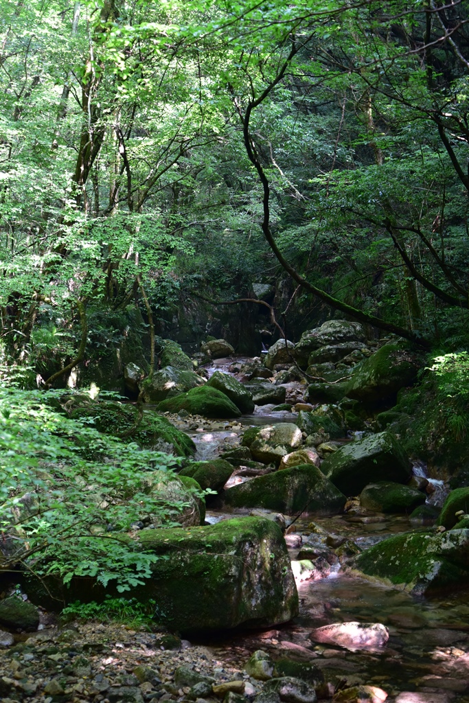 f:id:ikazuti-d:20160805101331j:image f:id:ikazuti-d:20160805101331j:image