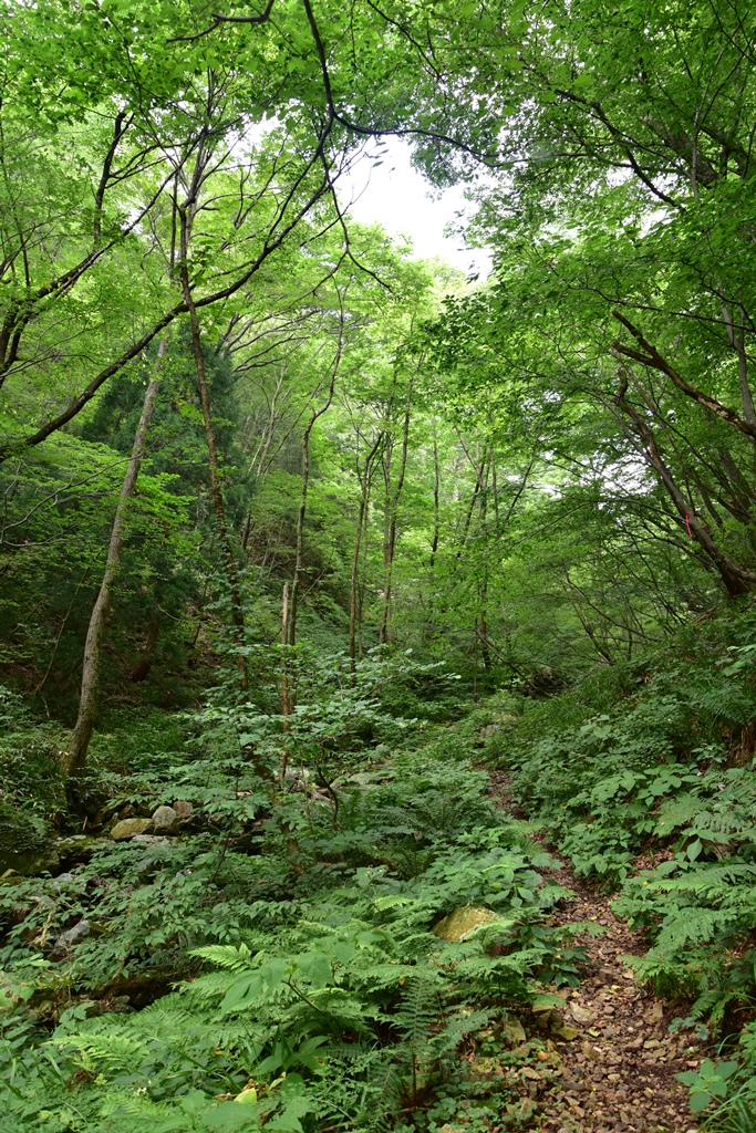 f:id:ikazuti-d:20160805111438j:image f:id:ikazuti-d:20160805111438j:image