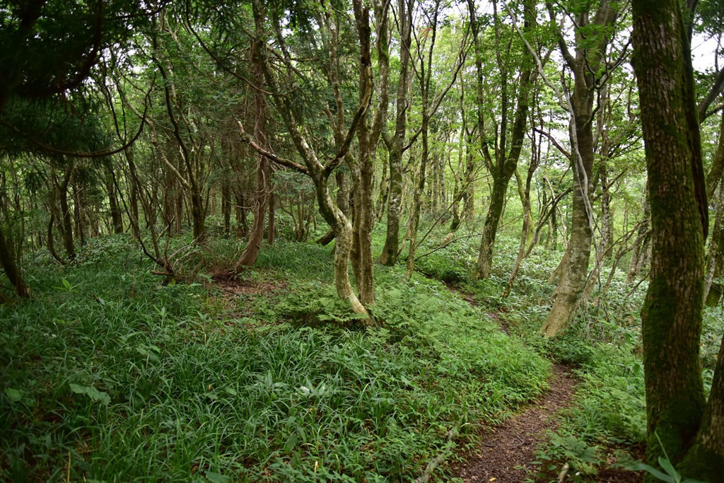 f:id:ikazuti-d:20160805115836j:image f:id:ikazuti-d:20160805115836j:image