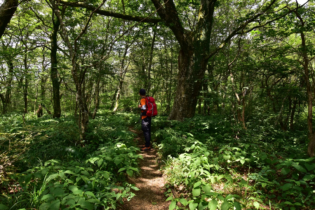 f:id:ikazuti-d:20160805125800j:image f:id:ikazuti-d:20160805125800j:image