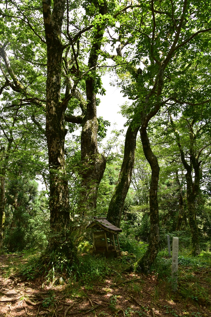 f:id:ikazuti-d:20160805130905j:image f:id:ikazuti-d:20160805130905j:image