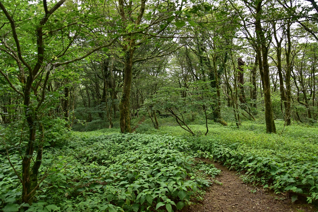 f:id:ikazuti-d:20160805131537j:image f:id:ikazuti-d:20160805131537j:image