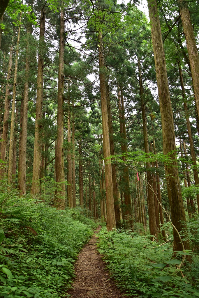 f:id:ikazuti-d:20160805132700j:image f:id:ikazuti-d:20160805132700j:image