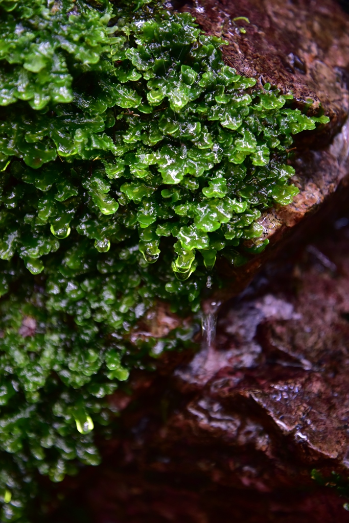 f:id:ikazuti-d:20160805134035j:image f:id:ikazuti-d:20160805134035j:image