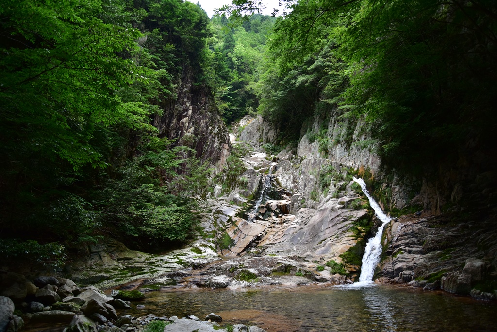 f:id:ikazuti-d:20160805142145j:image f:id:ikazuti-d:20160805142145j:image