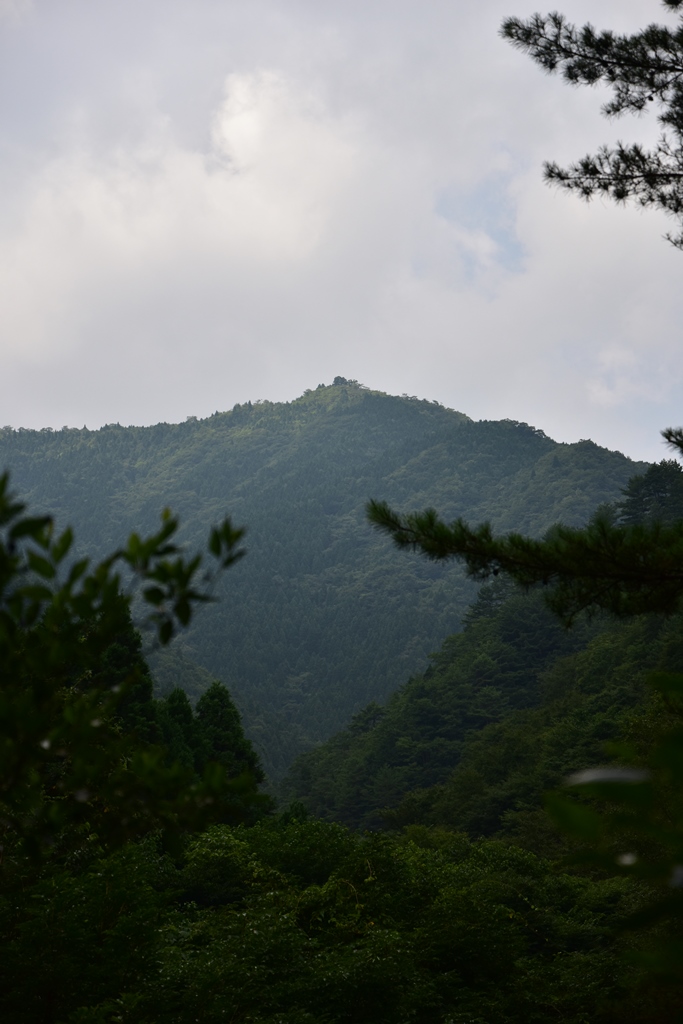 f:id:ikazuti-d:20160805143426j:image f:id:ikazuti-d:20160805143426j:image