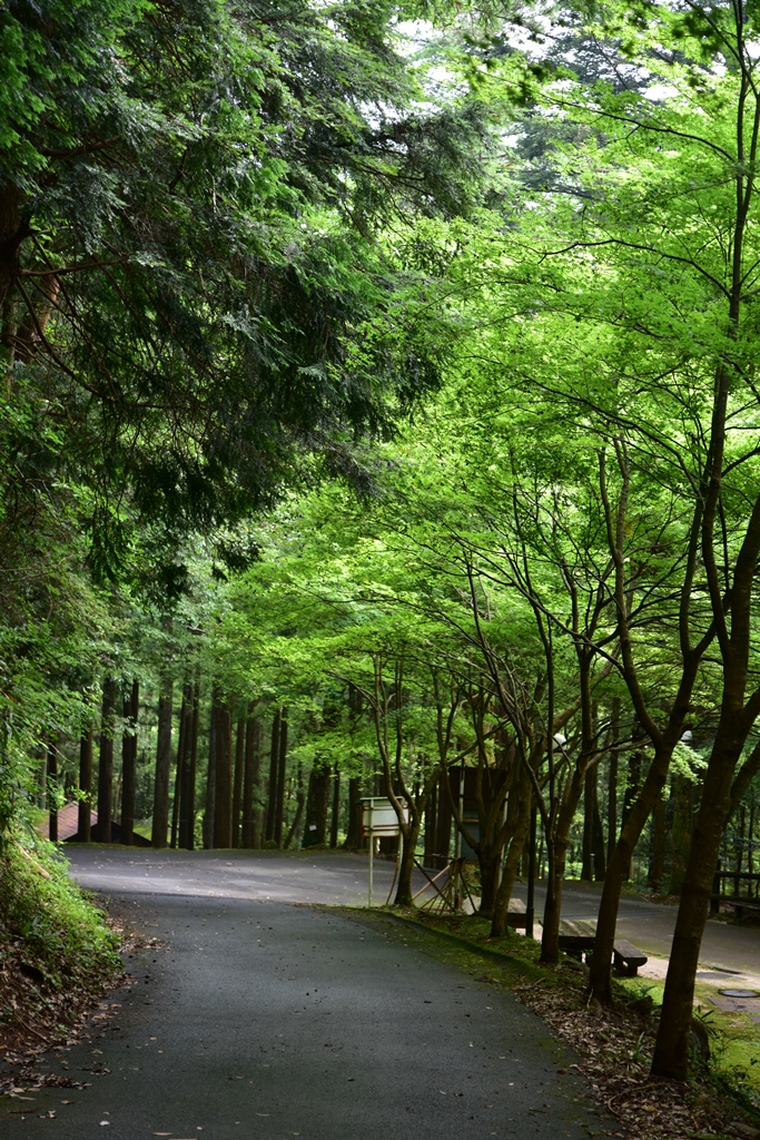 f:id:ikazuti-d:20160805145238j:image f:id:ikazuti-d:20160805145238j:image