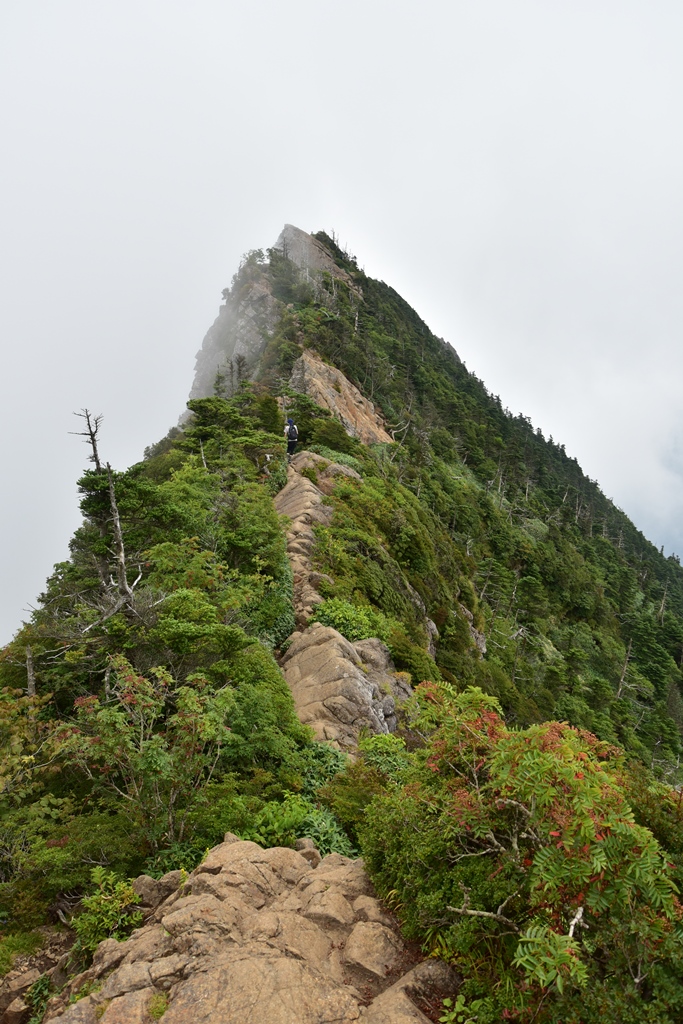 f:id:ikazuti-d:20160817113225j:image f:id:ikazuti-d:20160817113225j:image