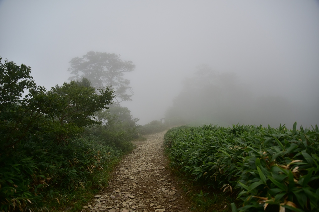 f:id:ikazuti-d:20160817135427j:image f:id:ikazuti-d:20160817135427j:image