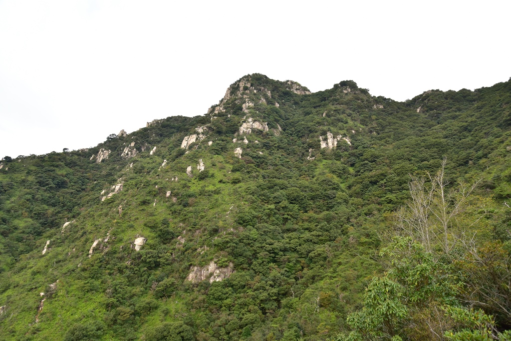 f:id:ikazuti-d:20161031075953j:image