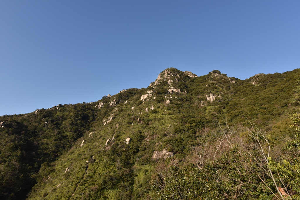 f:id:ikazuti-d:20170103092724j:image