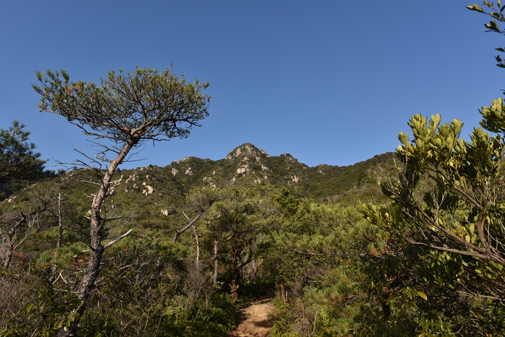 f:id:ikazuti-d:20170103093539j:image