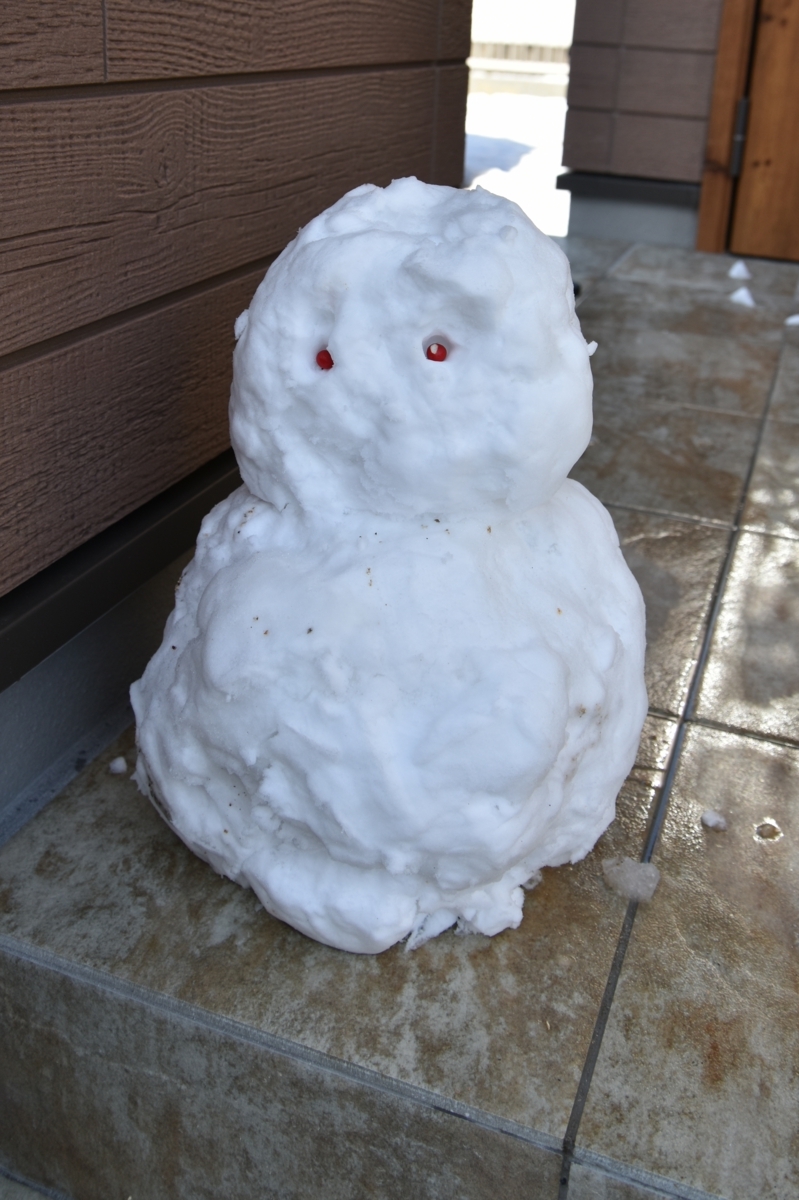 f:id:ikazuti-d:20170115113131j:image