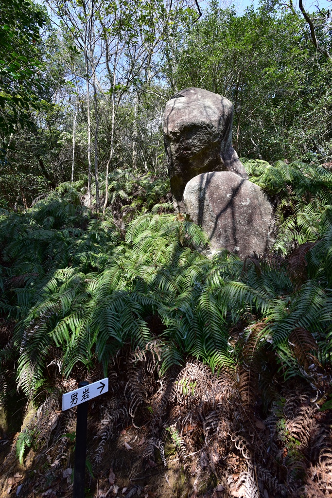 f:id:ikazuti-d:20170322091723j:image f:id:ikazuti-d:20170322091723j:image