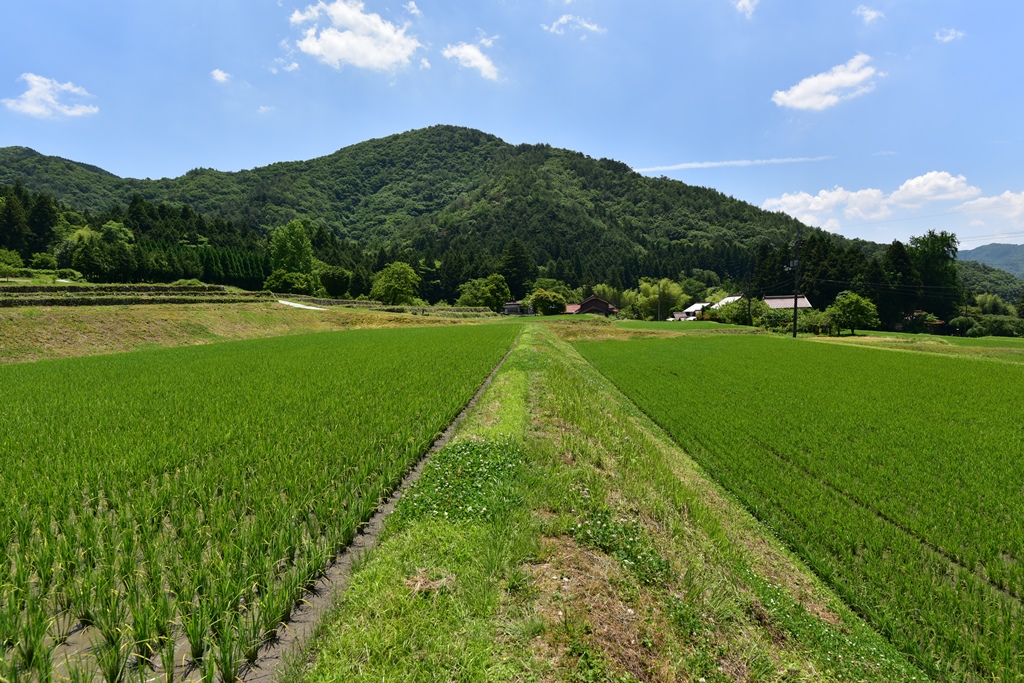 f:id:ikazuti-d:20170609115655j:image