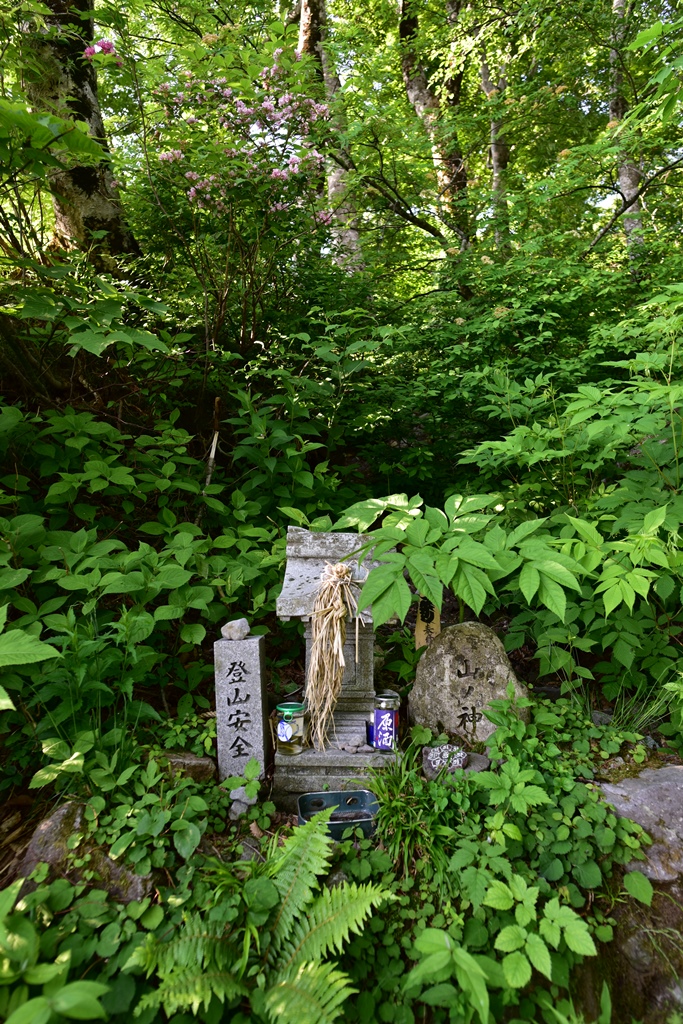 f:id:ikazuti-d:20170619072427j:image