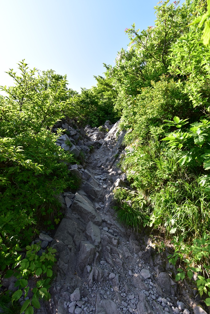 f:id:ikazuti-d:20170619080522j:image