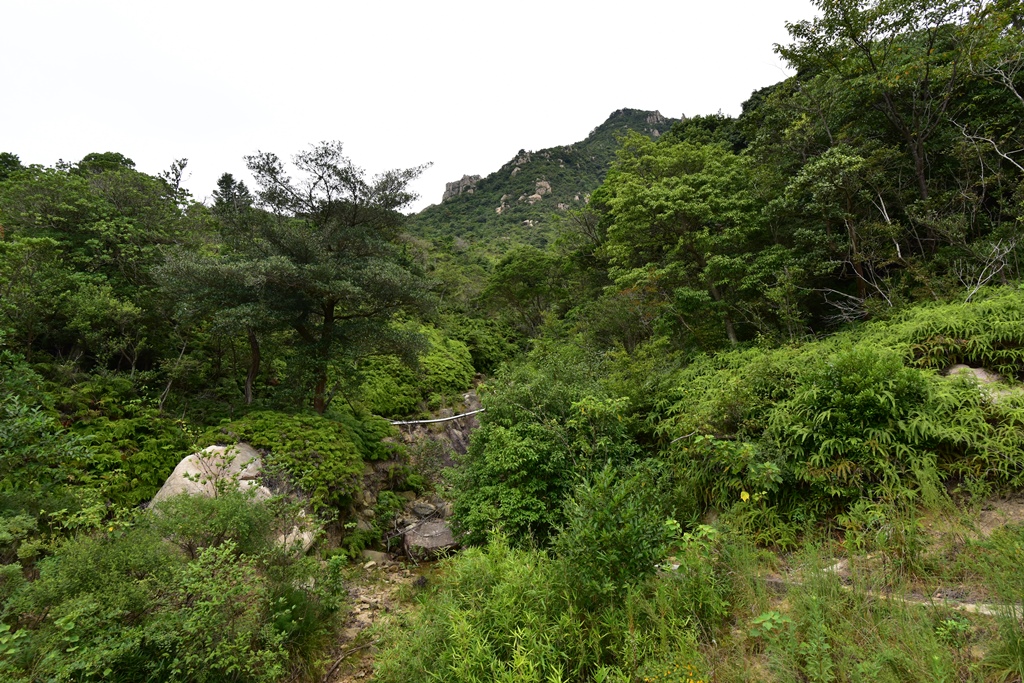 f:id:ikazuti-d:20170904081826j:image
