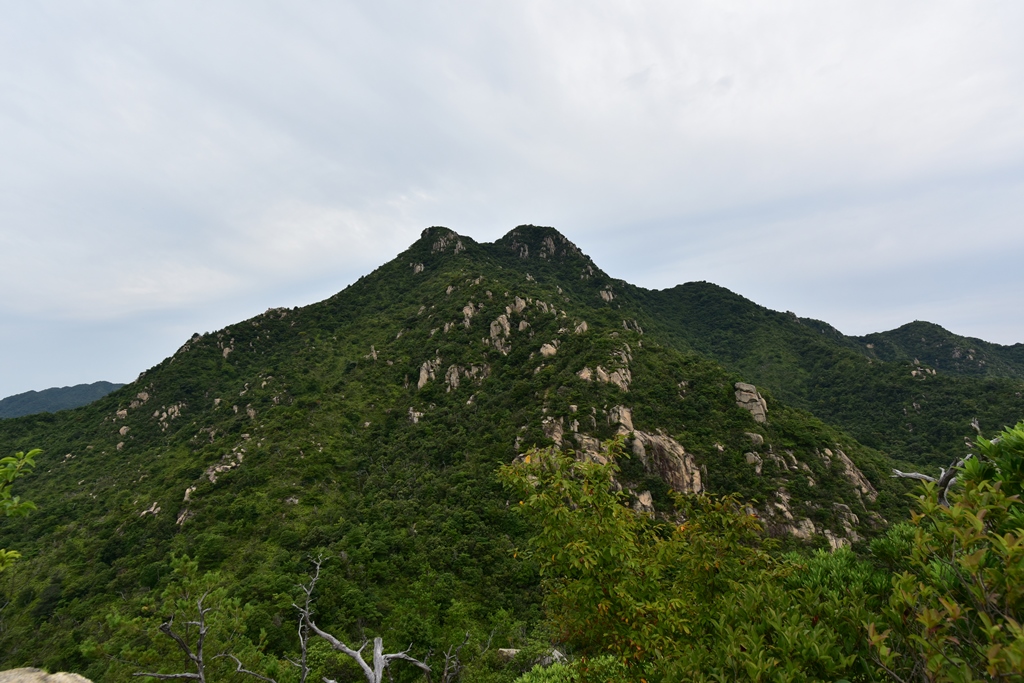 f:id:ikazuti-d:20170904100846j:image