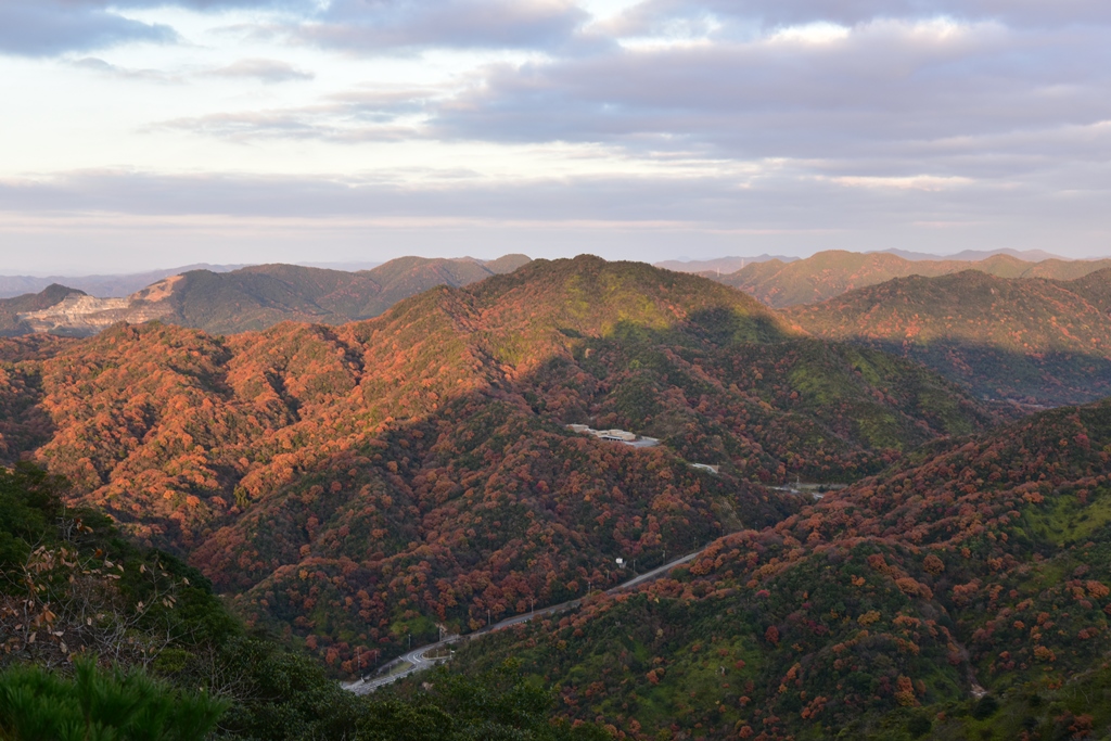 f:id:ikazuti-d:20171202072835j:image f:id:ikazuti-d:20171202072835j:image