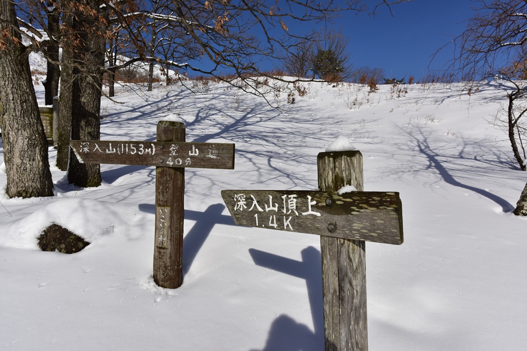 f:id:ikazuti-d:20171215102739j:image f:id:ikazuti-d:20171215102739j:image