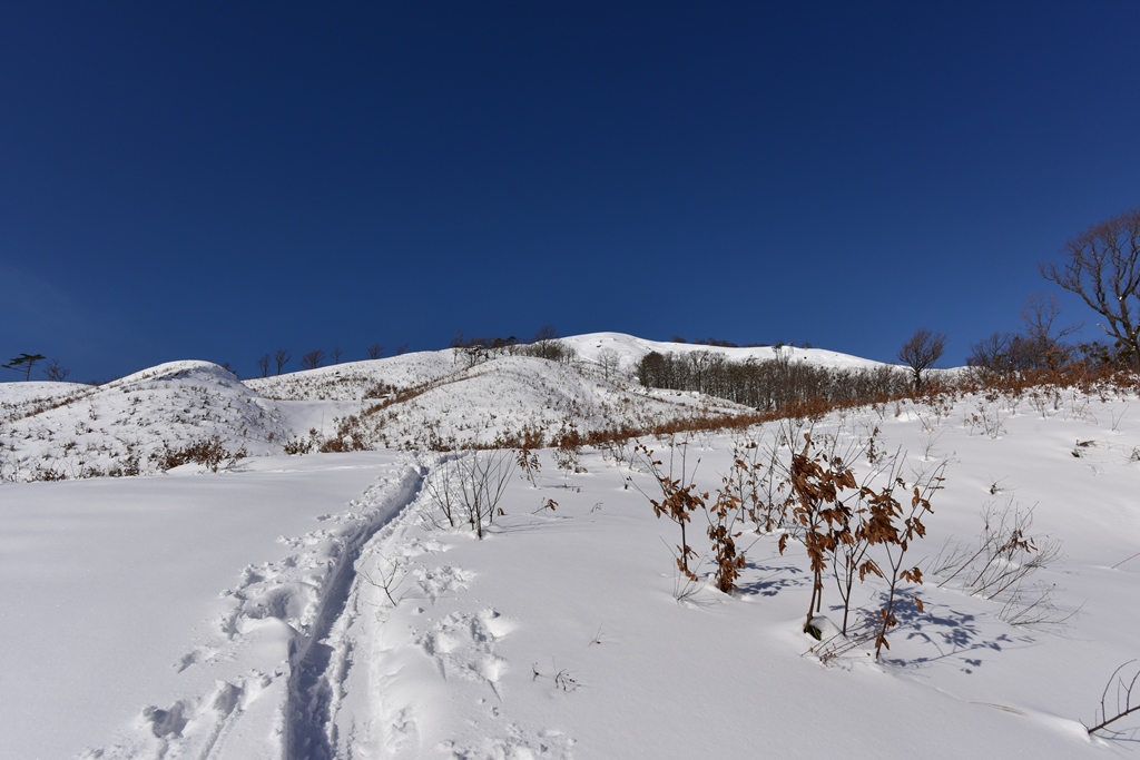 f:id:ikazuti-d:20171215102928j:image f:id:ikazuti-d:20171215102928j:image