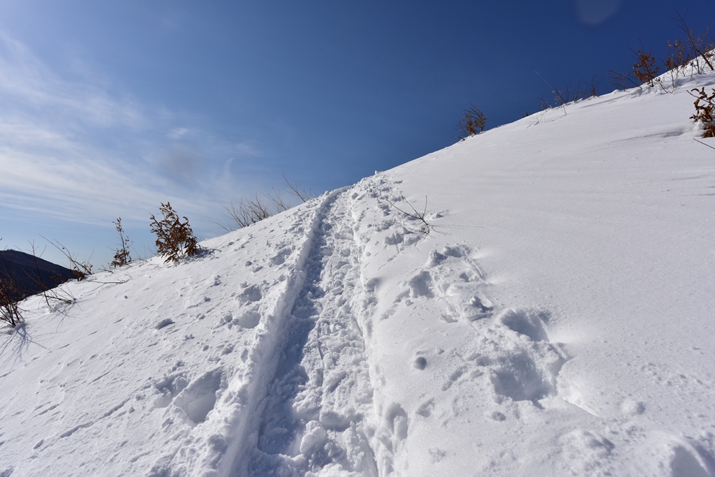 f:id:ikazuti-d:20171215114116j:image f:id:ikazuti-d:20171215114116j:image