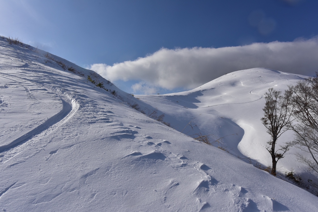 f:id:ikazuti-d:20171215140430j:image f:id:ikazuti-d:20171215140430j:image