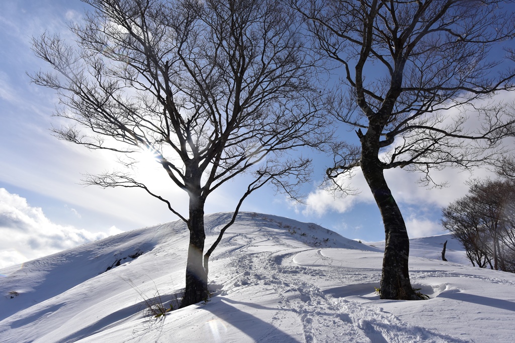 f:id:ikazuti-d:20171215140549j:image f:id:ikazuti-d:20171215140549j:image