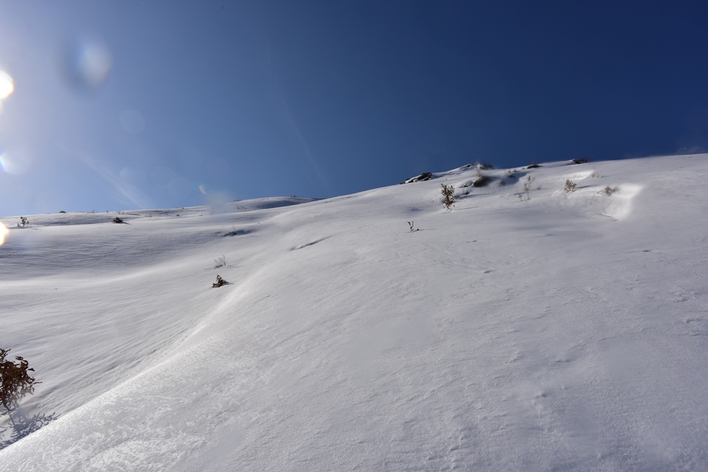 f:id:ikazuti-d:20171215141621j:image f:id:ikazuti-d:20171215141621j:image