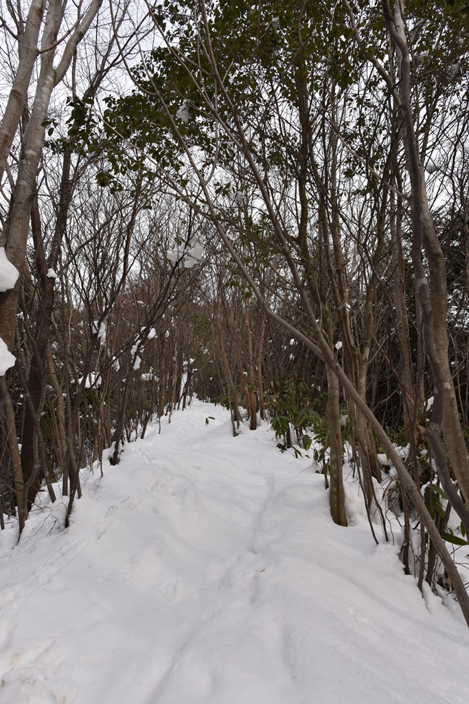 f:id:ikazuti-d:20180202095246j:image
