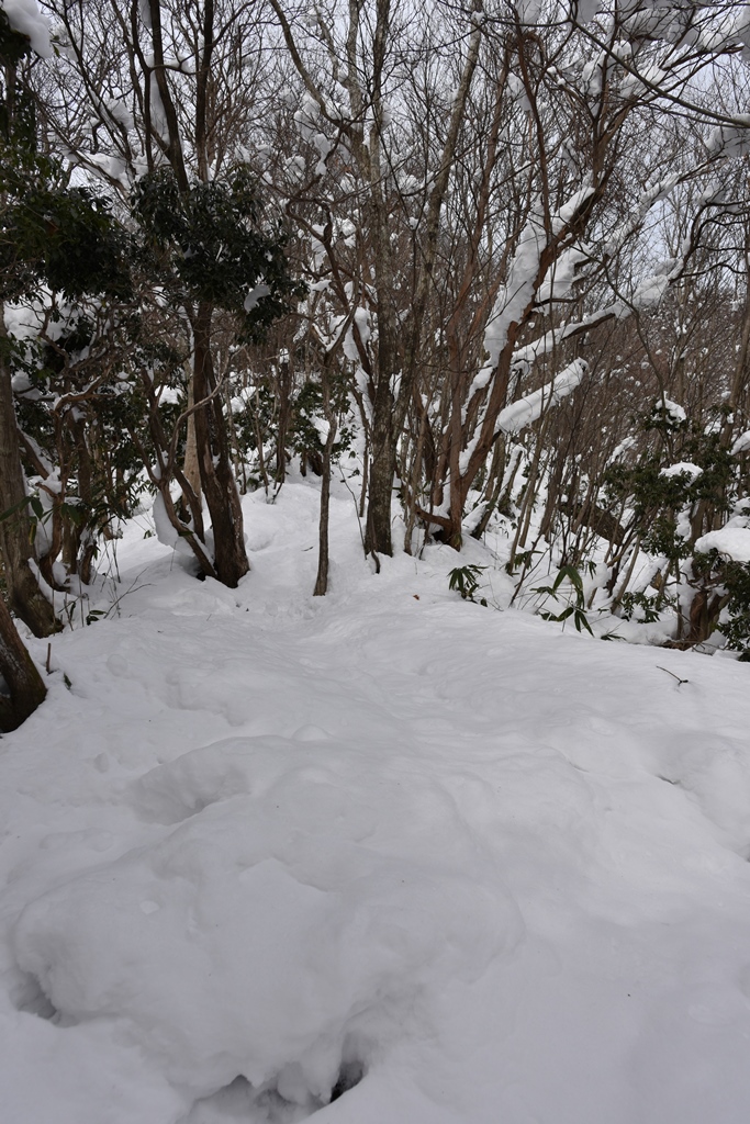 f:id:ikazuti-d:20180202101821j:image