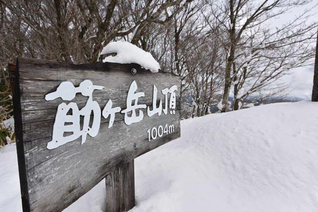 f:id:ikazuti-d:20180202105159j:image